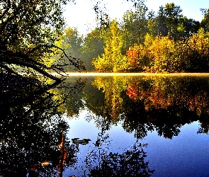 Jesień, Odbicie, Las, Jezioro