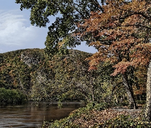 Rzeka, Jesień, Drzewa, Góry
