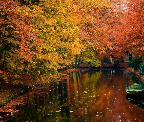 Park, Łódka, Jesień