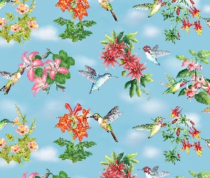Kolibry, Kwiatki