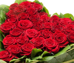 Czerwone, Serce, Róże
