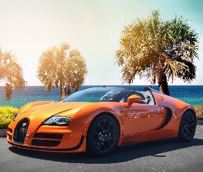 Bugatti, Palmy