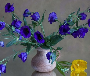 Niebieskie, Tulipan, Żółty, Kwiaty