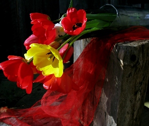 Bukiet, Kompozycja, Tulipany
