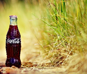Butelka, Trawa, Coca Cola