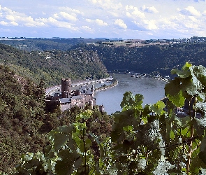 Góry, Woda, Mittelrhein Burg Katz, Drzewa