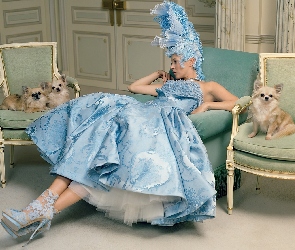 Suknia, Psy, Kate Moss