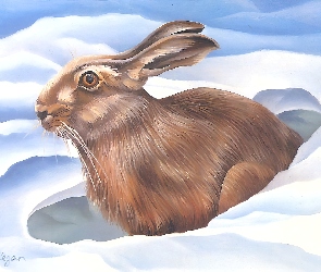 W, Śniegu, Zając