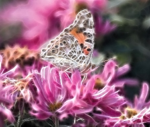 Motyl, Fractalius, Kwiaty