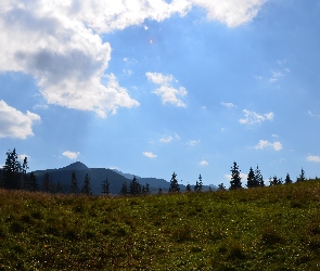 Zakopane, Niebo, 2560 Łąka