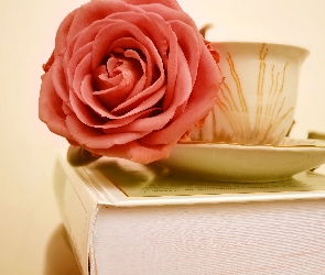 Książka, Filiżanka, Różowa, Róża