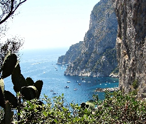 Wyspa, Kaktusy, Morze, Capri
