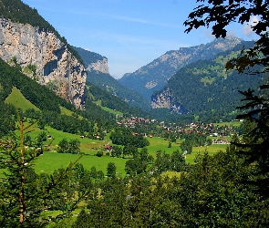 Dolina, Drzewa, Góry