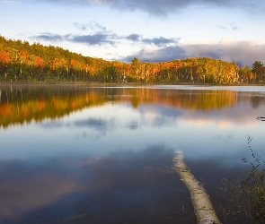 Jezioro, Jesień, Drzewa