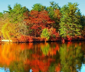 Jezioro, Odbicie, Drzewa, Lustrzene, Kolorowe