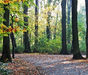 Jesienny, Park