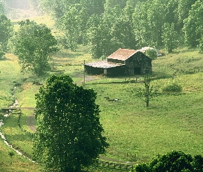 Pastwisko, Drzewa, Farma