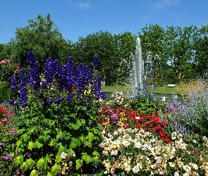 Kwiaty, Fontanna, Park