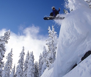 Śnieg, Snowboard, Drzewa