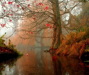Rzeka, Mgła, Jesień