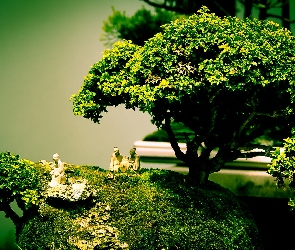 Drzewka, Porcelanowe, Figurki, Bonsai