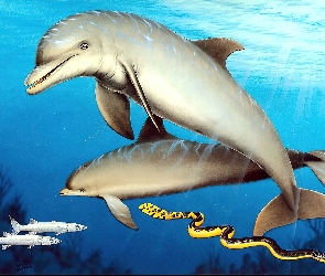 Ryby, Art, Delfiny