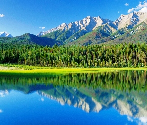 Las, Jezioro, Góry