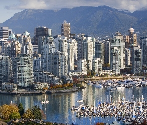 Miasta, Vancouver, Panorama