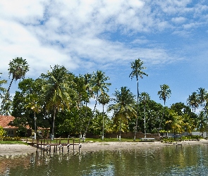 Palmy, Domy, Plaża