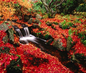 Jesień, Drzewa, Kamienie, Liście, Wodospad