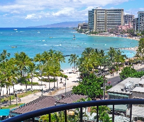 Hawaje, Woda, Zabudowania, Palmy, Honolulu
