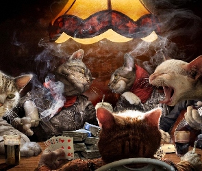 Karty, Poker, Koty
