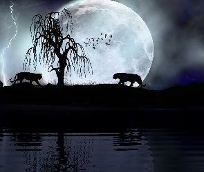 Księżyc, Noc, Tygrysy, Drzewo