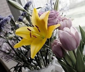 Bukiet, Tulipany, Kwiatów