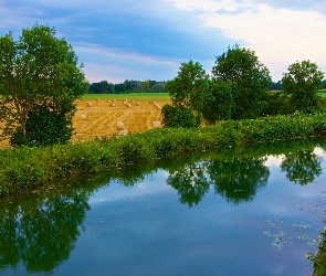 Rzeka, Drzewa, Pole