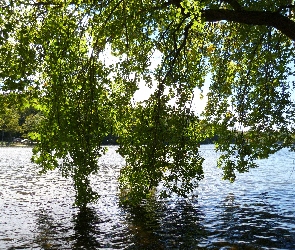 Gałęzie, Jezioro