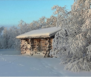 Piękna, Drzewa, Domek, Ośnieżone, Zima