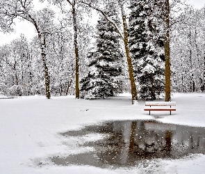 Zima, Ławka, Park, Drzewa