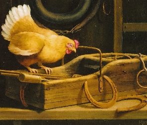 Kura, Podkowy