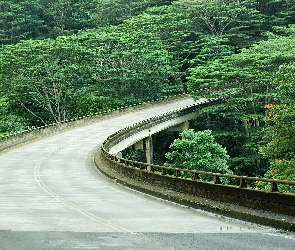 Most, Hawaje, Drzewa