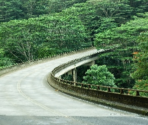 Drzewa, Hawaje, Most
