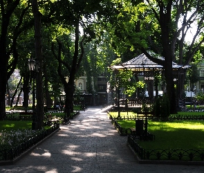 Alejka, Park, Drzewa