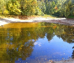 Staw, Odbicie, Park