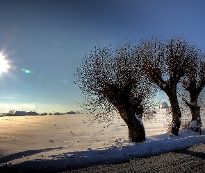 Śnieg, Słońce, Drzewa, Droga
