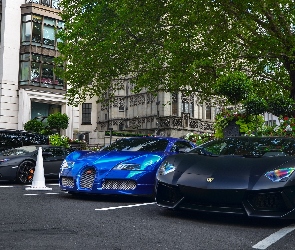 Niebieski, Lamborghini Aventador, Czarne, Bugatti Veyron