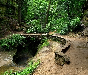 Zródełko, Ścieżka, Las, Skały