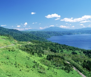 Las, Asfaltowa, Droga, Chmurki, Jezioro