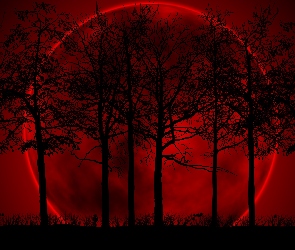 Drzewa, Planeta, Niebo, Czerwone