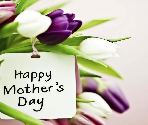 Tulipany, Dzień Matki