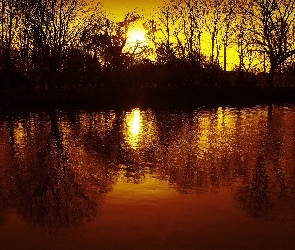 Słońce, Drzewa, Jezioro, Promienie, Zachód